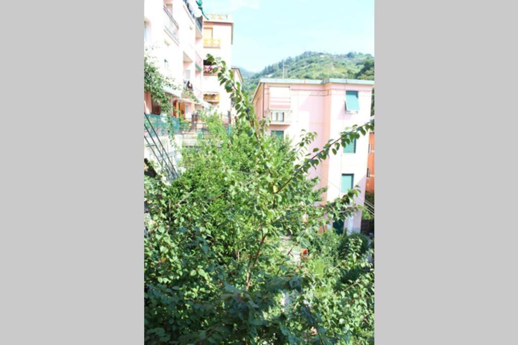Ferienwohnung Ca Du Rocco - Citra 011019-Lt-0343 Monterosso al Mare Exterior foto